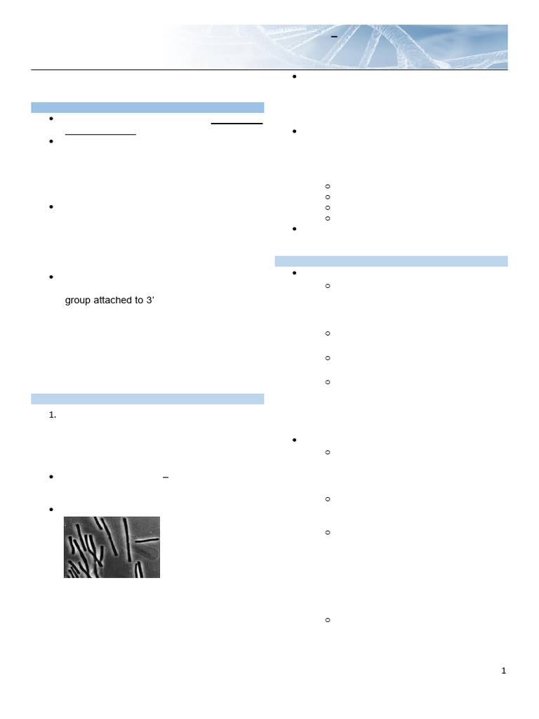 PCR (1) | PDF | Polymerase Chain Reaction | Primer (Molecular Biology)