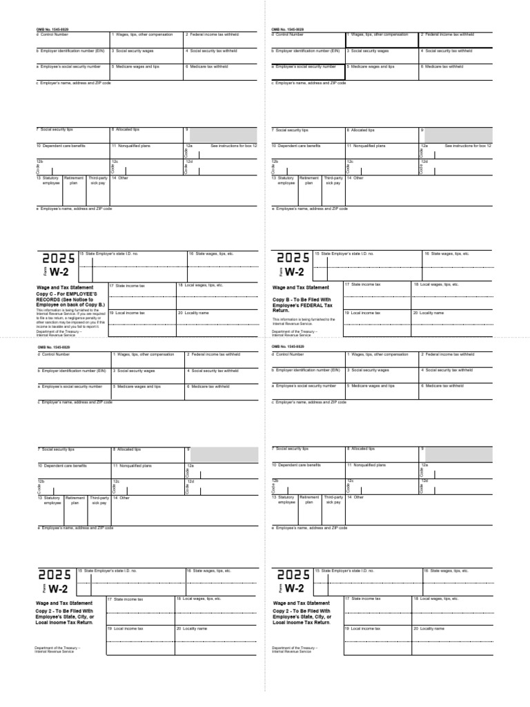 W-2 Wage and Tax Statement Overview | PDF | Earned Income Tax Credit ...
