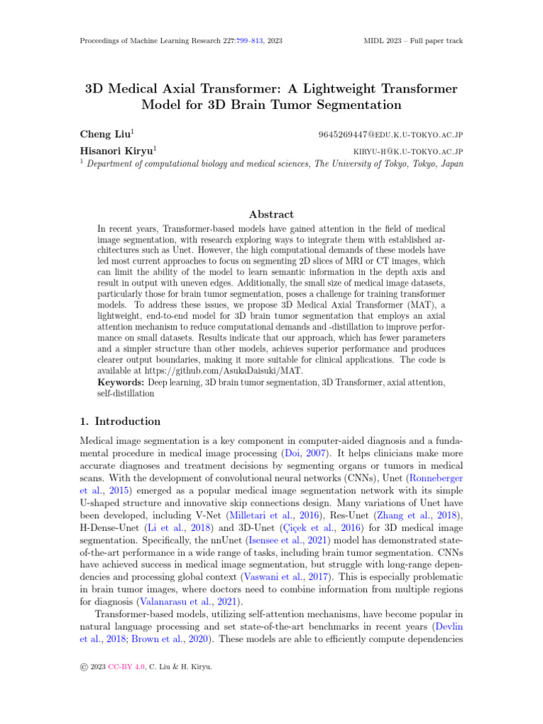 3D Medical Axial Transformer for Tumor Segmentation | PDF | Image ...