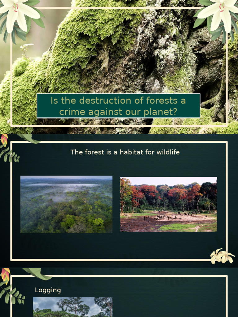 Amazon Rainforest Deforestation Awareness by Slidesgo-1 | PDF