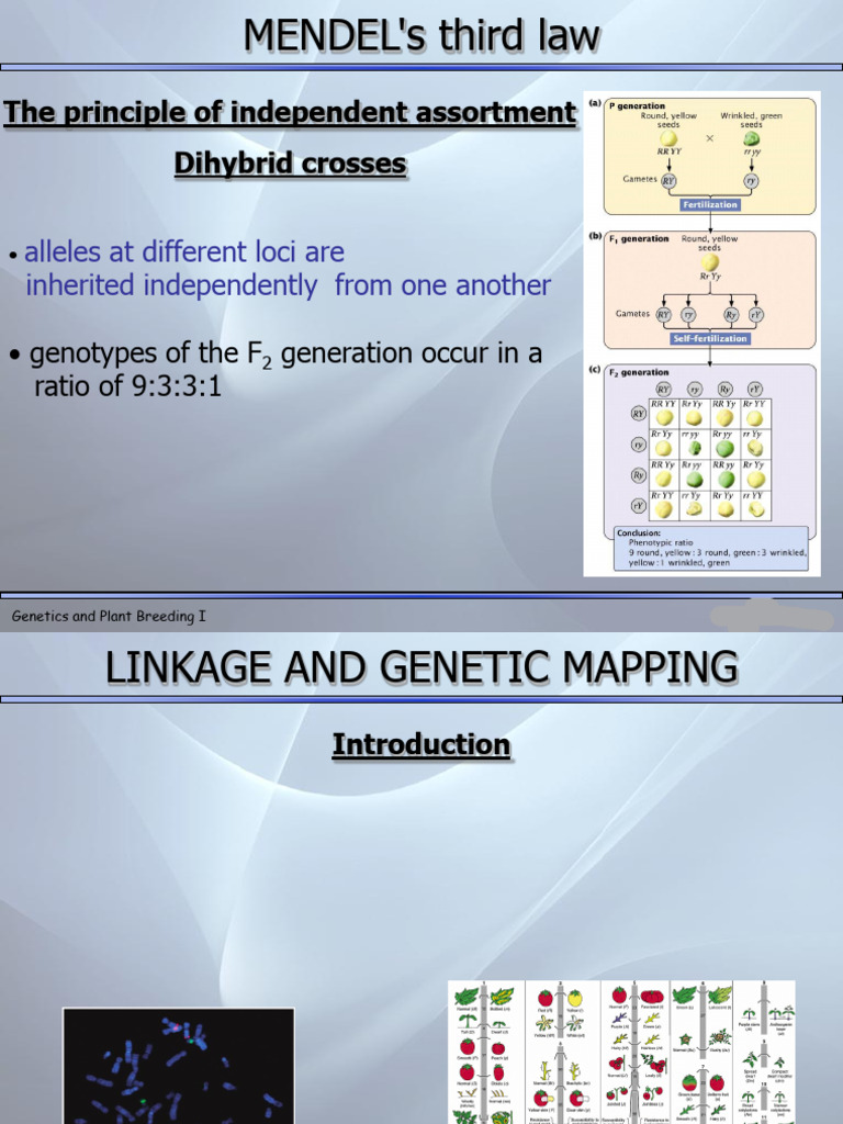 Genetics and Plant Breeding Overview | PDF | Genetic Linkage | Genetics