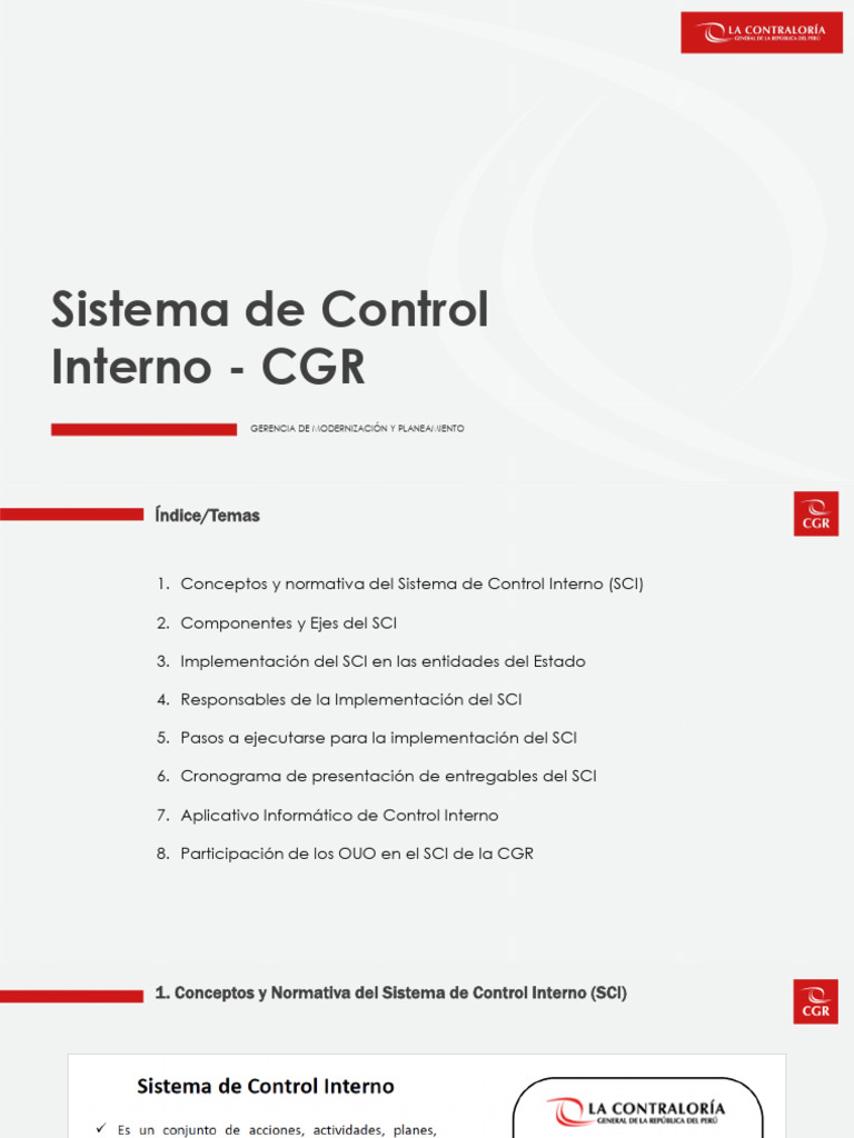 04. Sistema de Control Interno | PDF