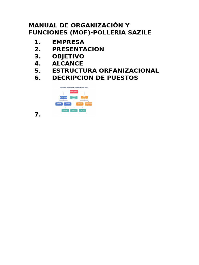 Manual de Organización y Funciones | PDF