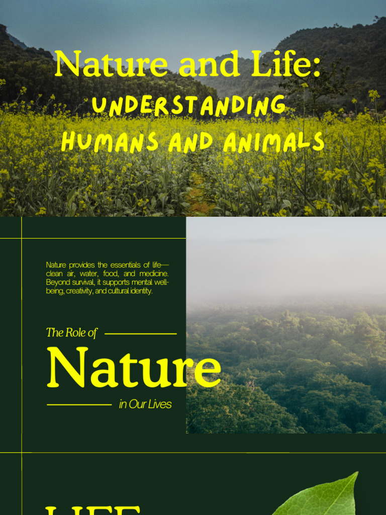 Science Report | PDF | Reproduction | Life