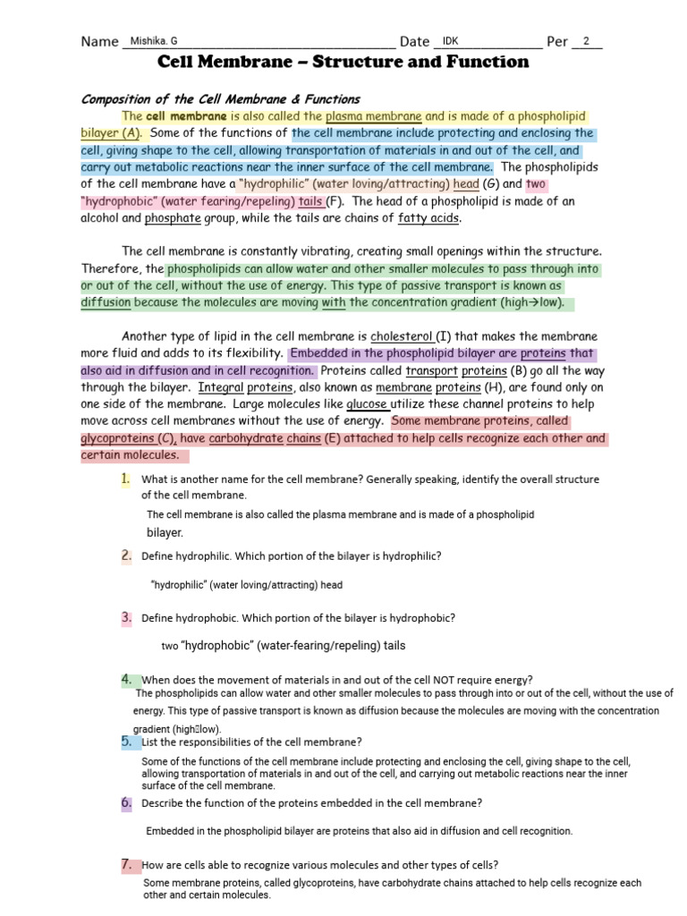 Cell Membrane Structure and Functions | PDF | Cell Membrane | Lipid Bilayer
