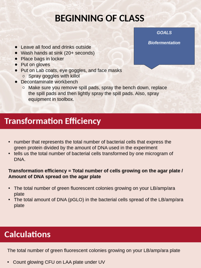 Biofermentation Lab Procedures and Calculations | PDF | Colony Forming ...