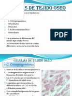 Celulas Oseas