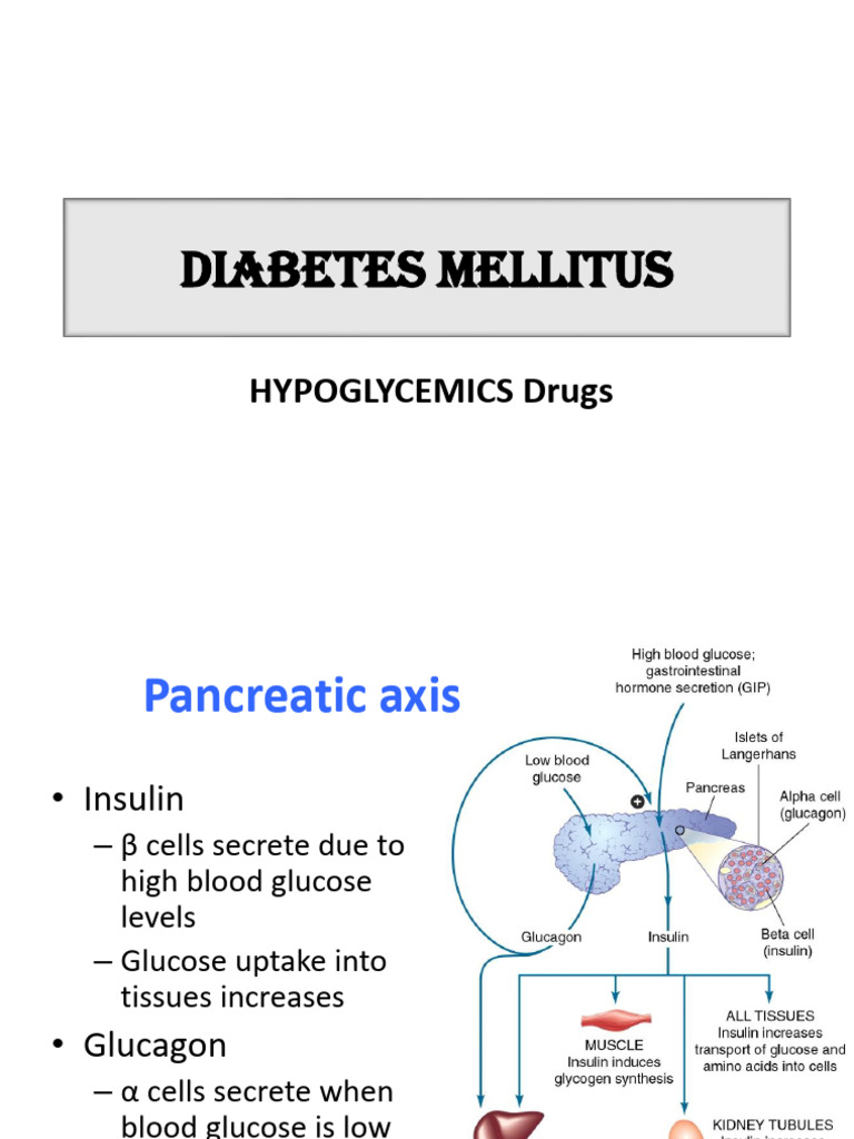 Diebetes Mellitus, Insulin, ORAL HYPOglycemics Final | PDF | Diabetes ...