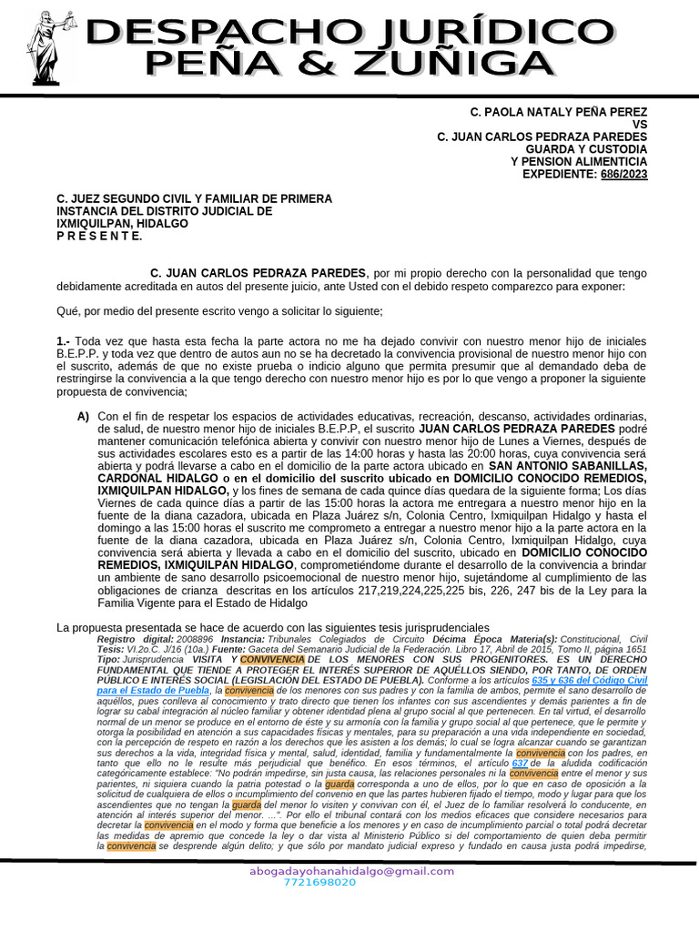 Solicito Audiencia Juan Carlos | PDF | Justicia | Crimen y violencia