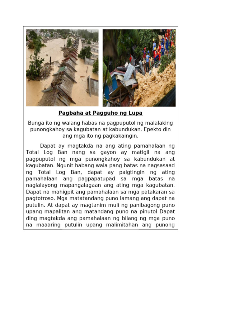 AP Project - Issue Sa Kapaligiran | PDF