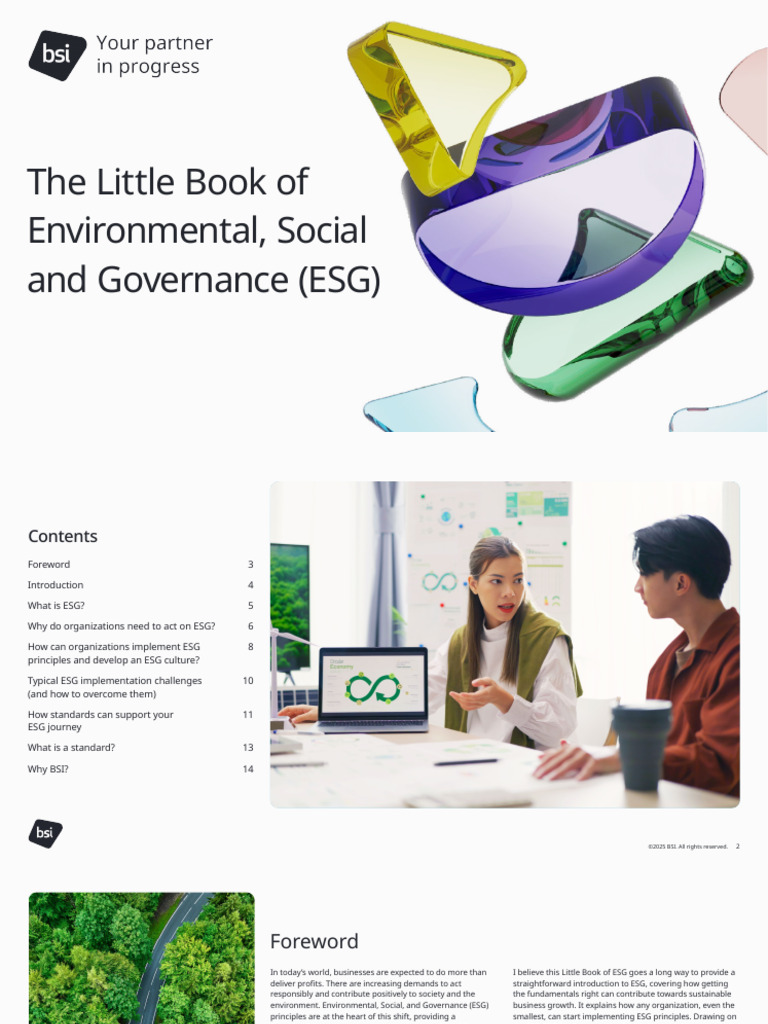 Guide to Implementing ESG Principles | PDF | Sustainability | Governance