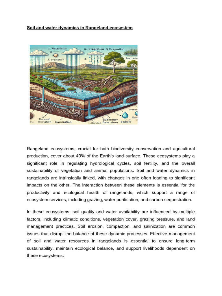 Soil and Water Dynamics in Rangeland Ecosystem | PDF | Soil | Grazing