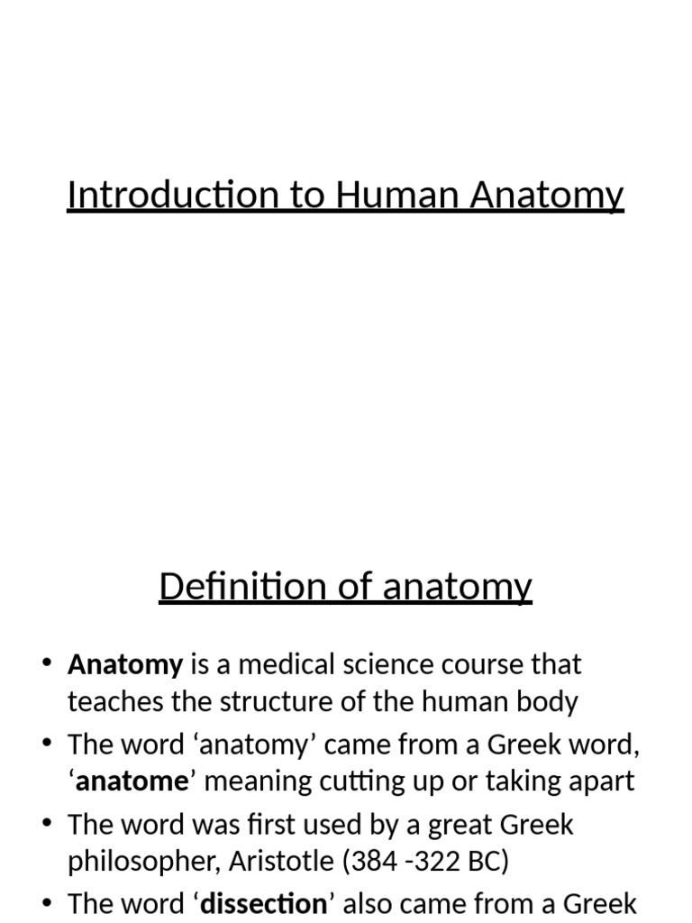 Overview of Human Anatomy Basics | PDF | Joint | Human Body