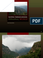 229-Mex- Sierra Tarahumara [Cr]