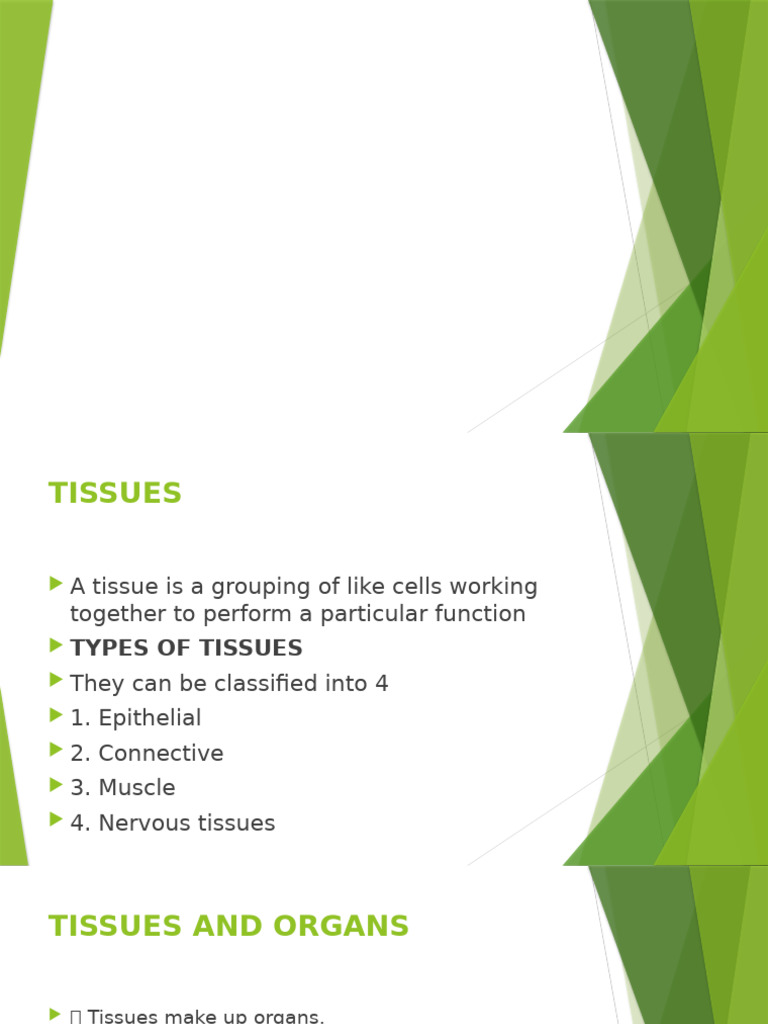 Types of Tissues and Their Functions | PDF