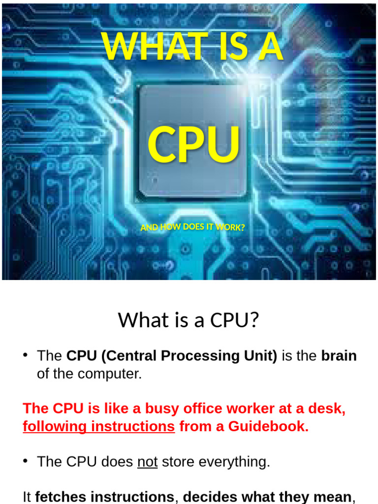 Understanding CPU Functions and Components | PDF | Central Processing ...