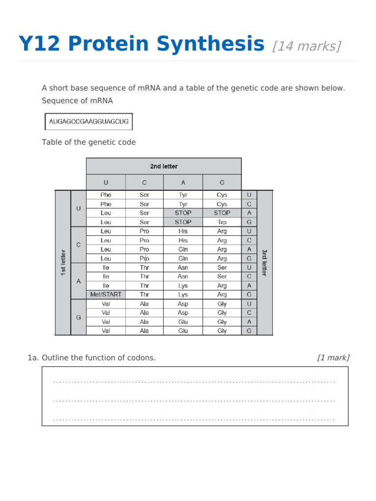 Understanding Protein Synthesis Basics | PDF | Messenger Rna ...
