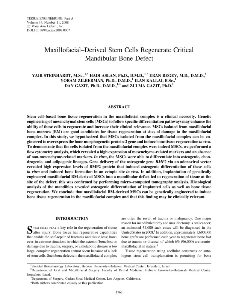 Maxillofacial Stem Cells for Bone Regeneration | PDF | Mesenchymal Stem ...