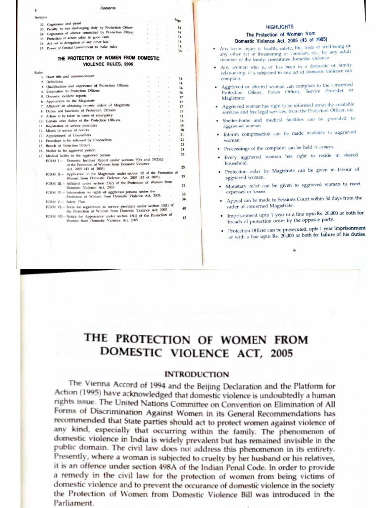 Protection of Women from Domestic Violence | PDF | Justice | Crime ...