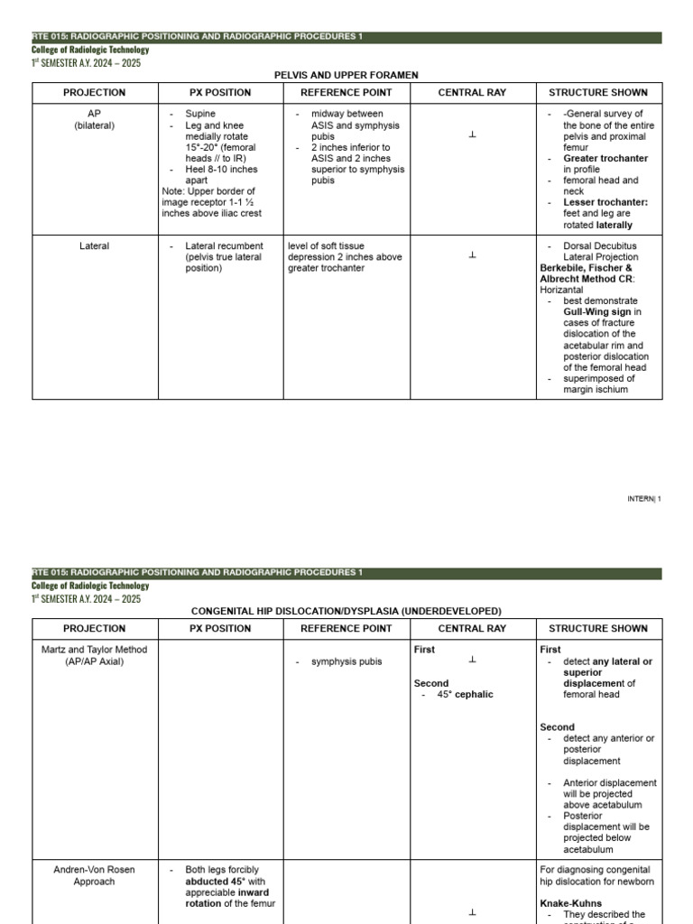 Rte 015: Rbe Summary Projections | PDF | Hip | Pelvis