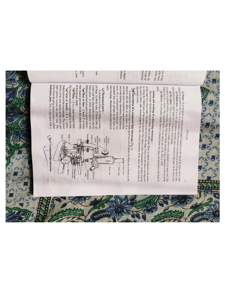 Botani | PDF