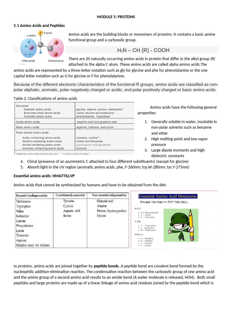 Understanding Proteins and Amino Acids | PDF | Enzyme | Protein Structure