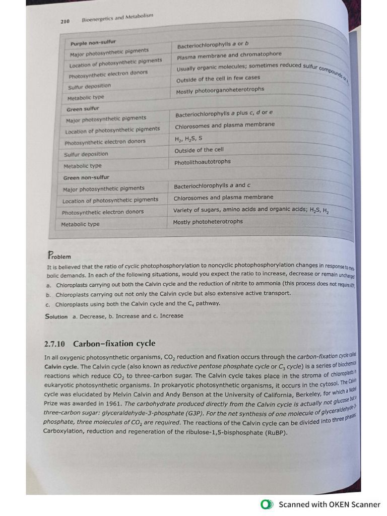 C3 Cycle | PDF