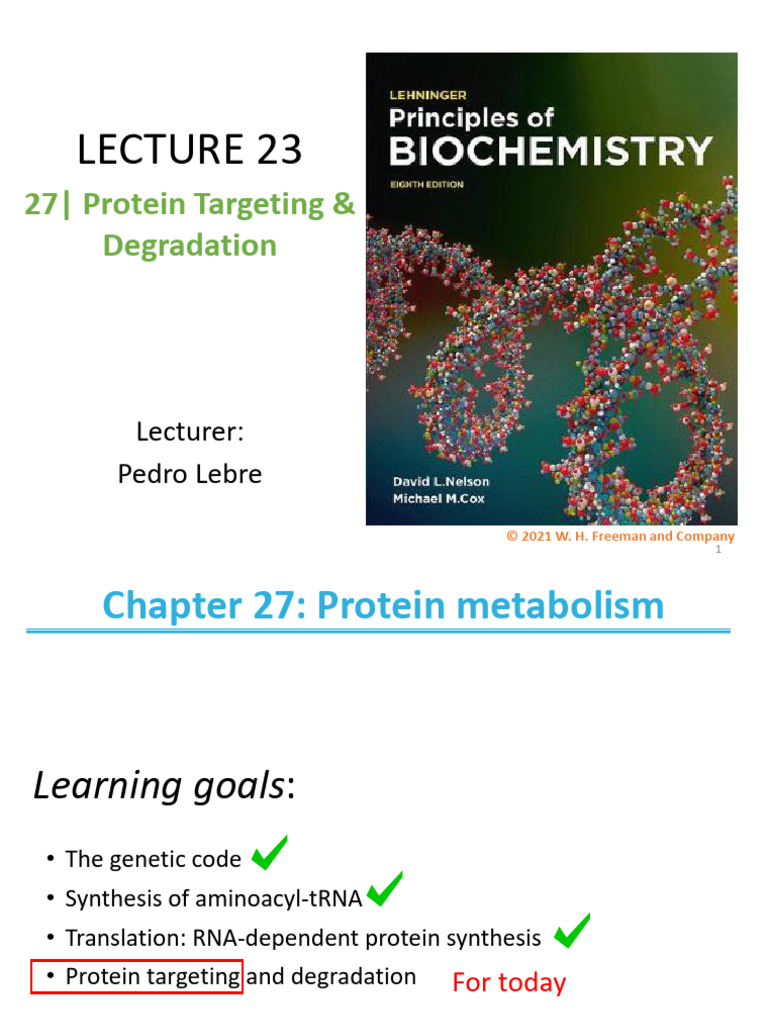 Protein Targeting and Degradation Overview | PDF | Protein Targeting ...