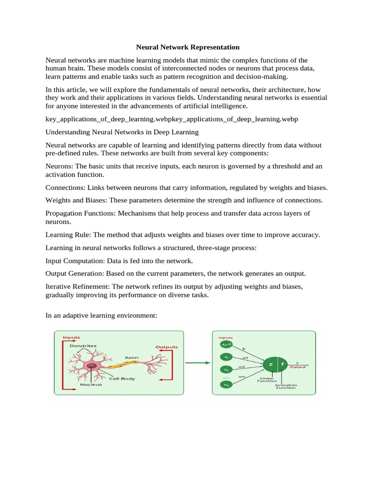 Neural Network Representation | PDF | Cognition | Computational Science