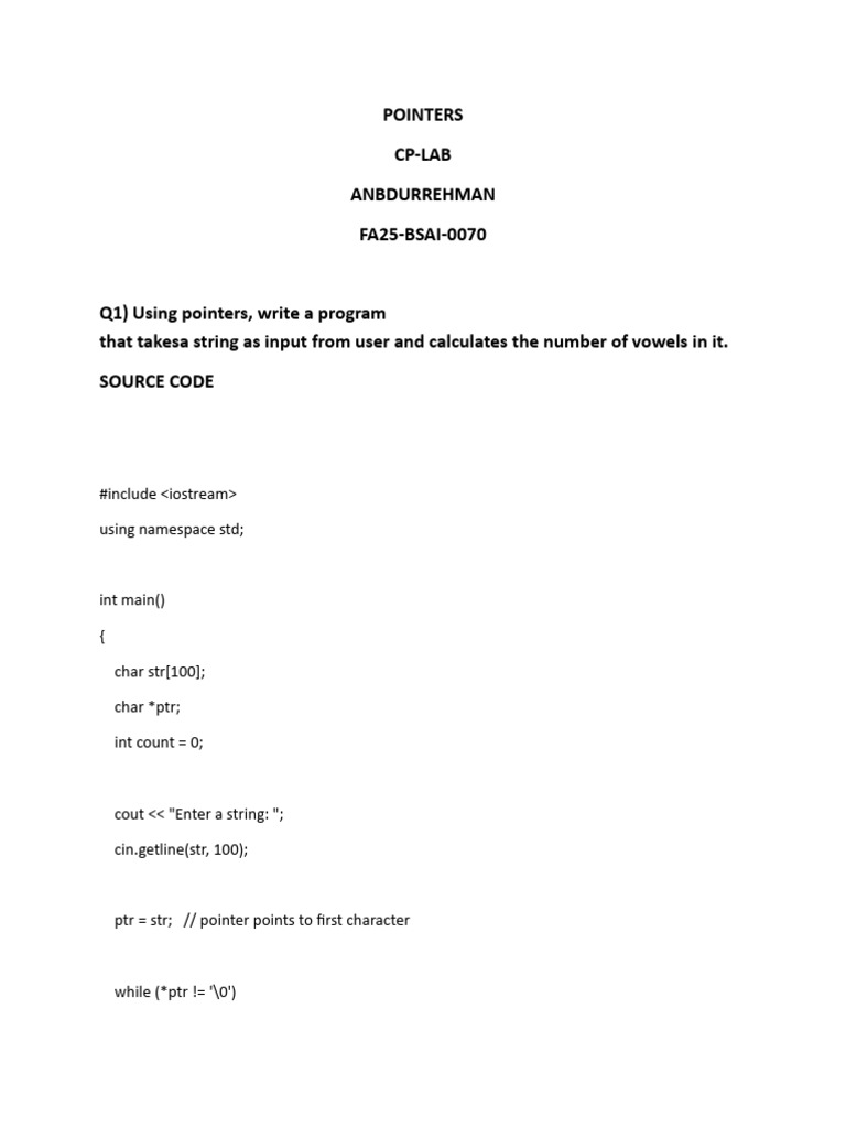 C++ Pointer Program Examples | PDF
