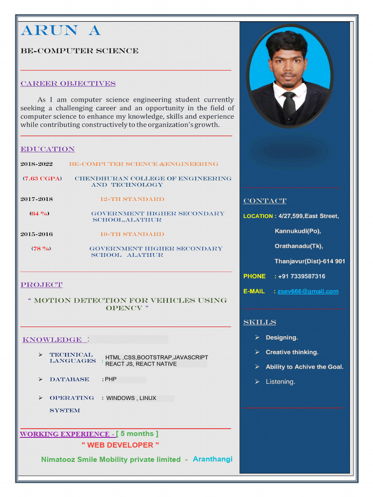 Web Developer Skills and Experience | PDF