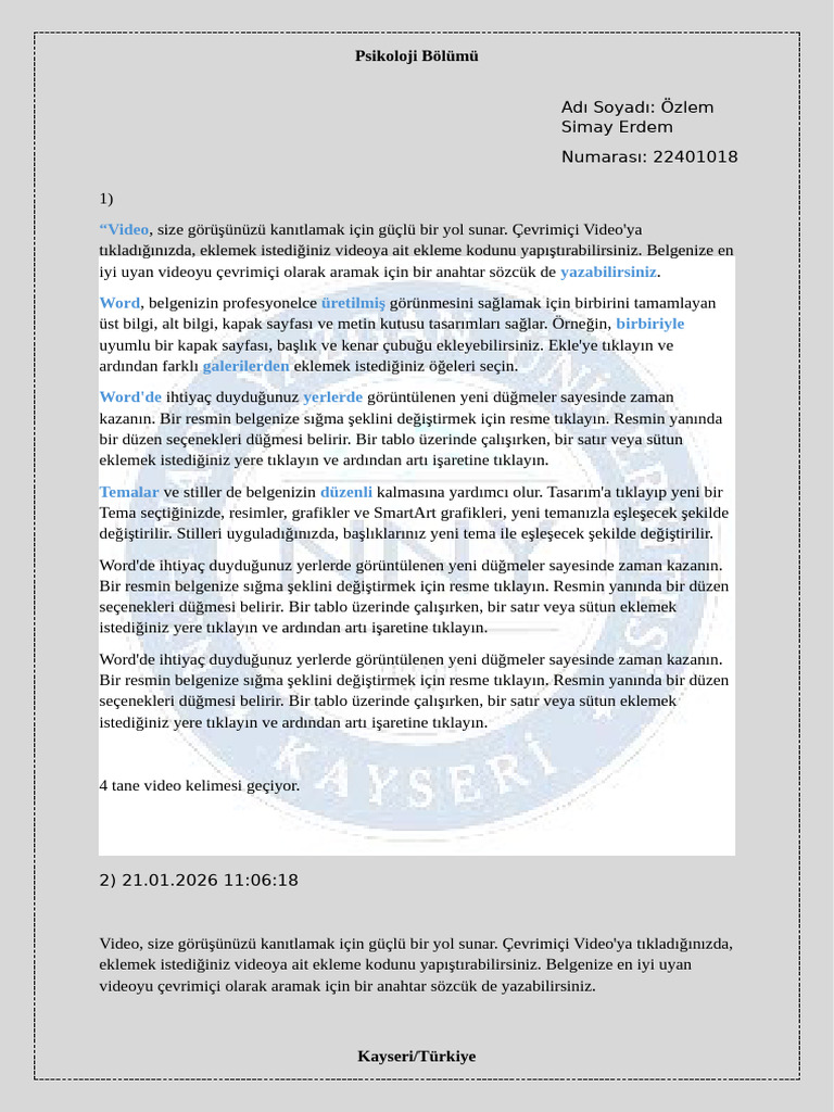 Özlem Simay Erdem | PDF