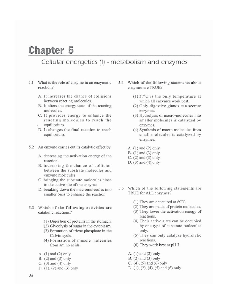MC Ch5 Metabolism and Enzyme | PDF