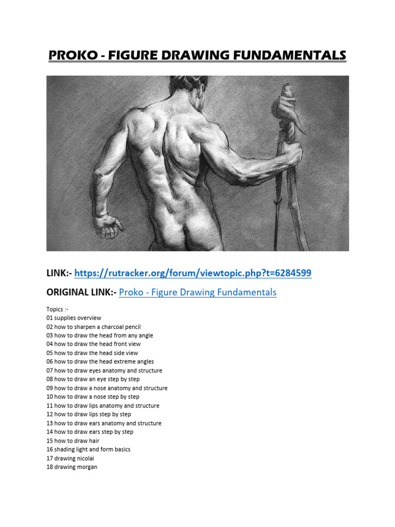 Figure Drawing Fundamentals Guide | PDF