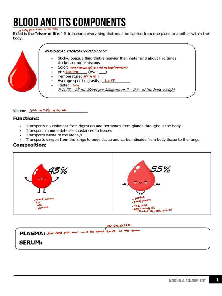 Blood Composition and Functions Explained | PDF | White Blood Cell | Blood