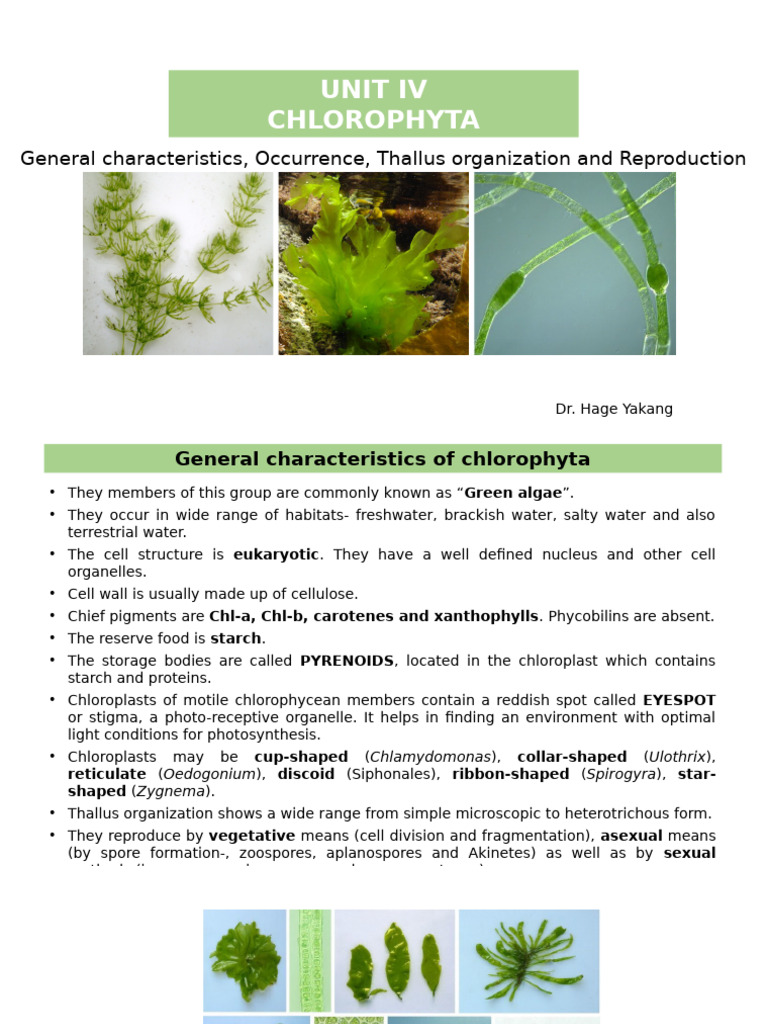 Characteristics and Reproduction of Chlorophyta | PDF | Biology ...