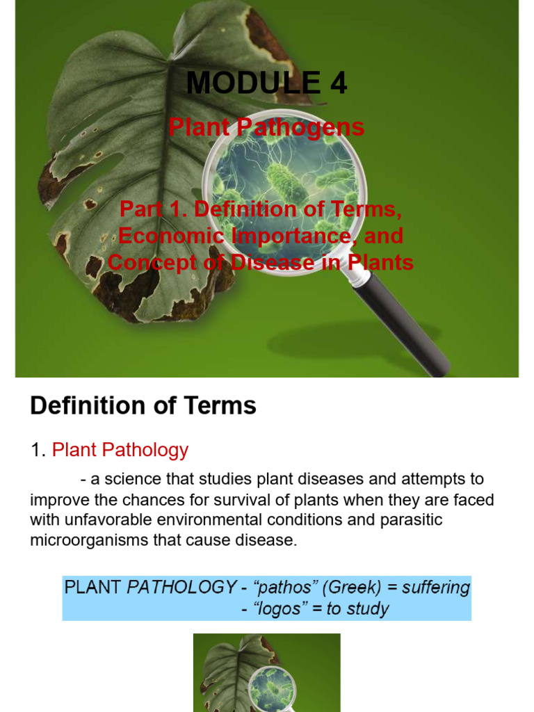 Understanding Plant Pathogens and Diseases | PDF | Fungus | Pathogen