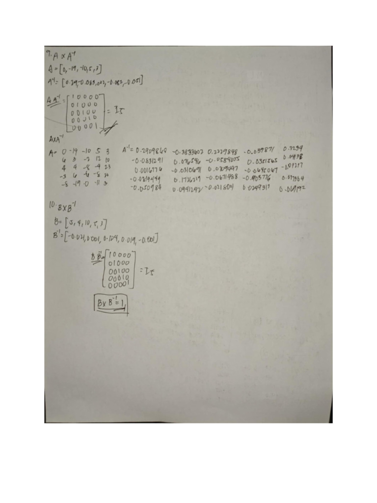Castrodes Act2 Matrices Numsol | PDF