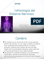 NeurofisiologiaSNC - FINAL