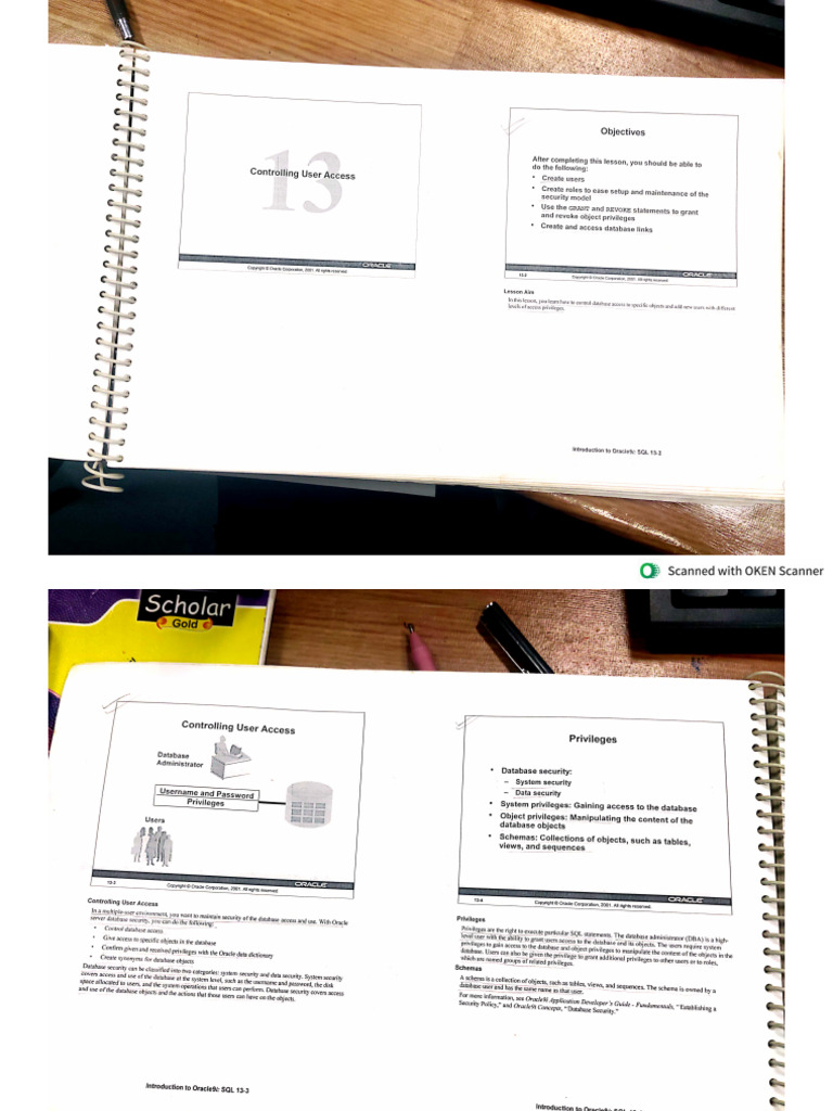 Ds Lab 8 (DCL Queries) | PDF