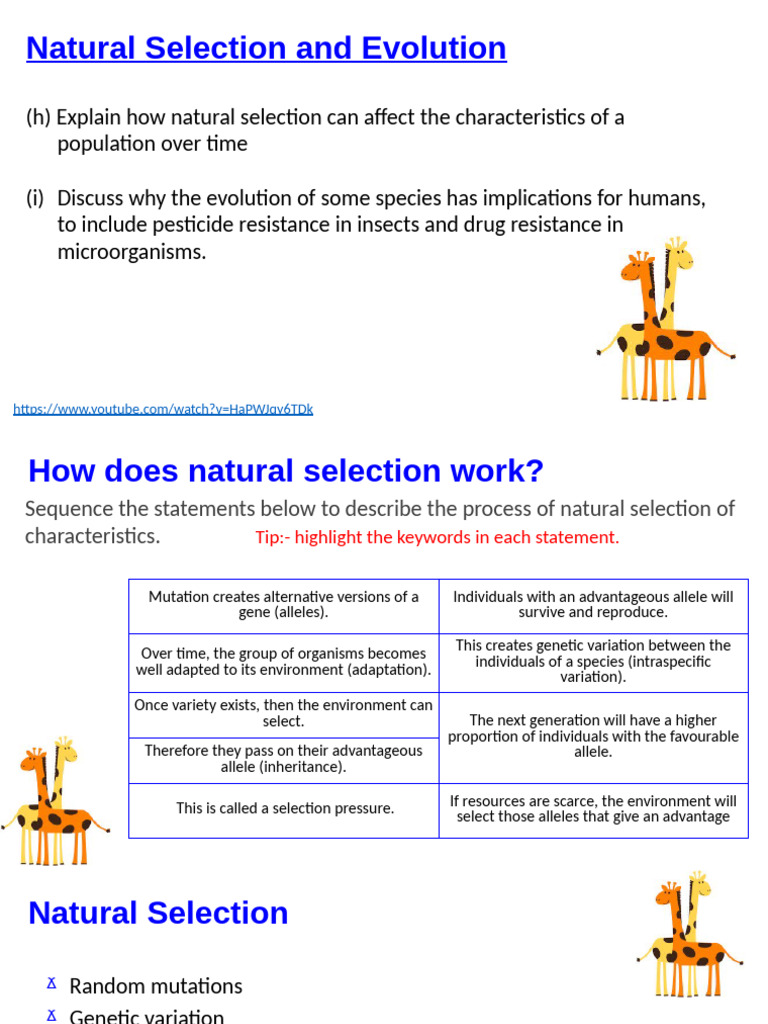 WaH Lesson 7 (1) | PDF | Natural Selection | Antimicrobial Resistance