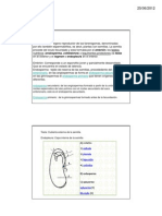 Semilla PDF