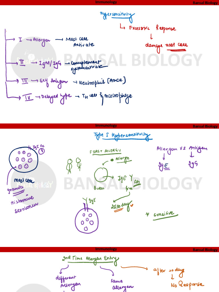 Immune Response Mechanisms Explained | PDF | Immune System | Antigen