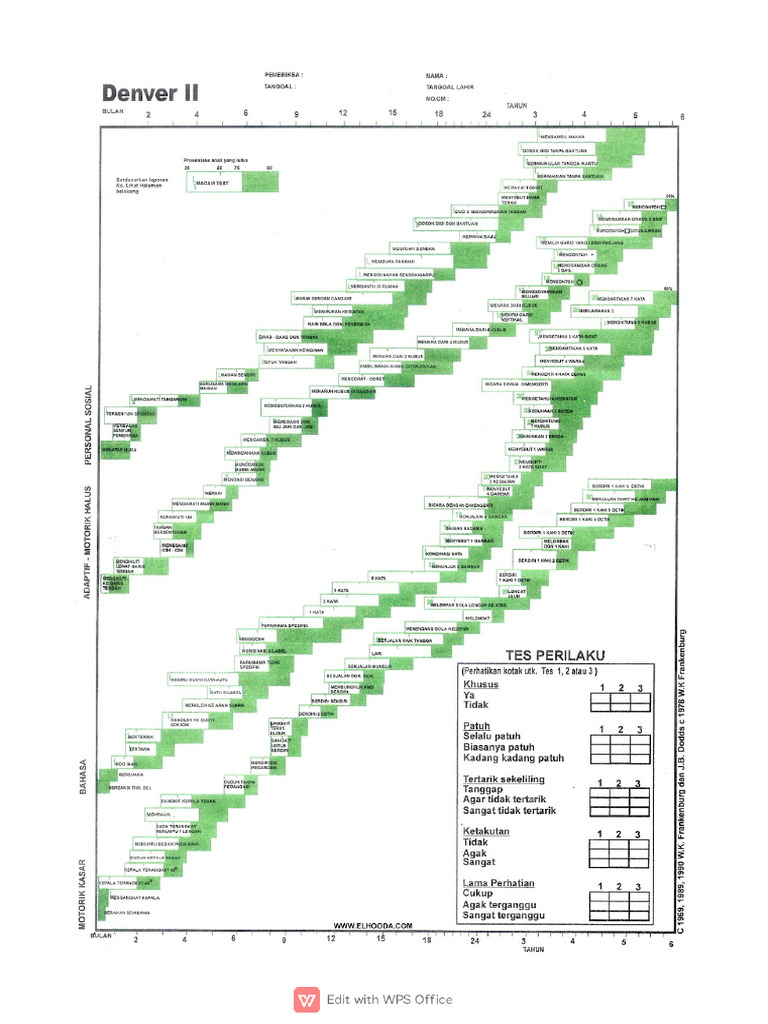 Formulir DDST II Denver Development Scre | PDF
