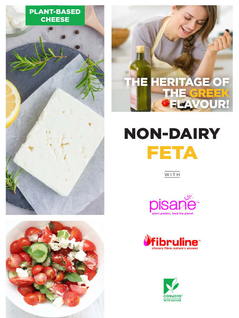 Concept Non-Dairy-Feta Plant-Based Cosucra 202412 Cosucra | PDF ...