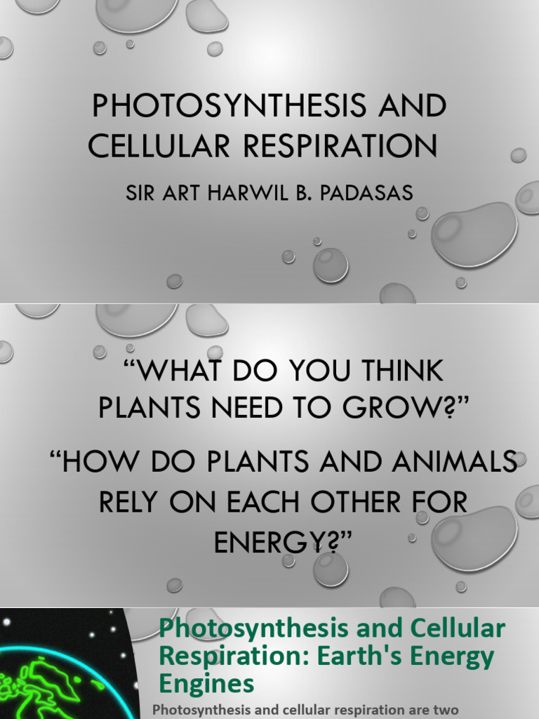 Photosynthesis and Cellular Respiration Explained | PDF ...