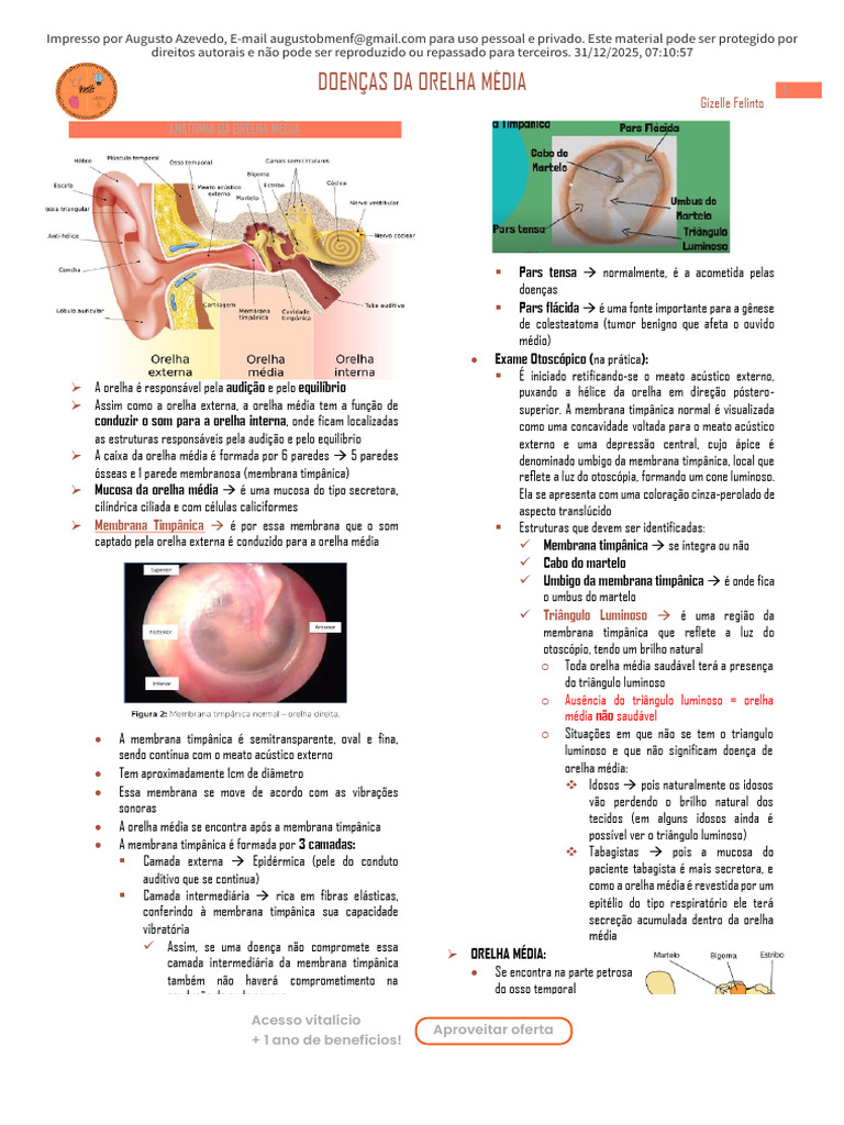 Doenças da Orelha Média: Anatomia e Otite | PDF | Orelha | Audição