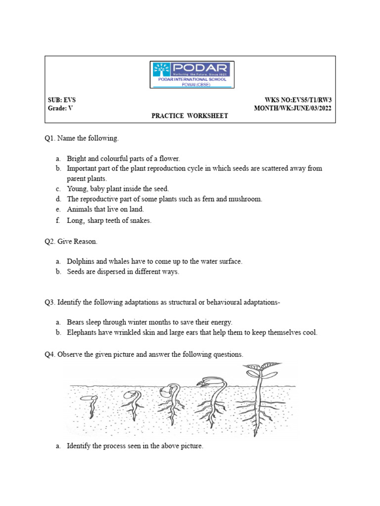 Gr 5 Practice Worksheet | PDF