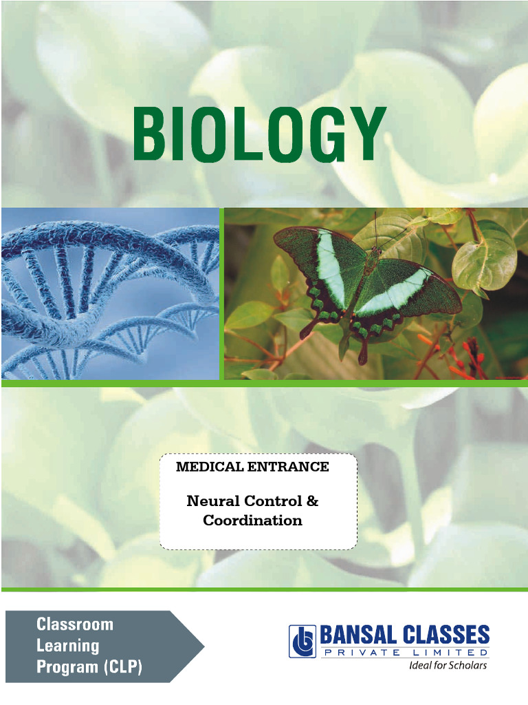 Neural Control & Coordination Guide | PDF | Chemical Synapse | Nervous ...