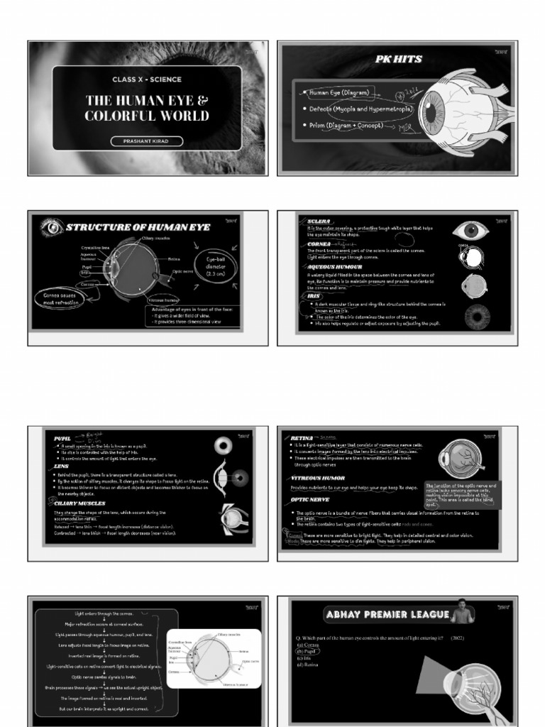 Humaneye | PDF